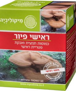 פטרית ראישי  פיור מיקוליביה