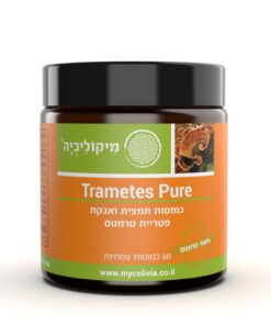 פטריית  טרמטס “זנב התרנגול”