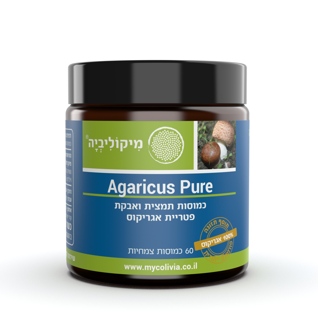 פטריית אגריקוס מיקוליביה – “פטריית השמש” AGARICUS